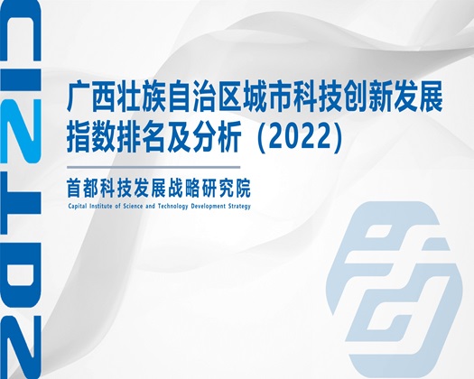 男人用鸡巴狂操女女人逼逼【成果发布】广西壮族自治区城市科技创新发展指数排名及分析（2022）